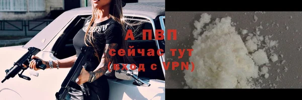 apvp Алзамай