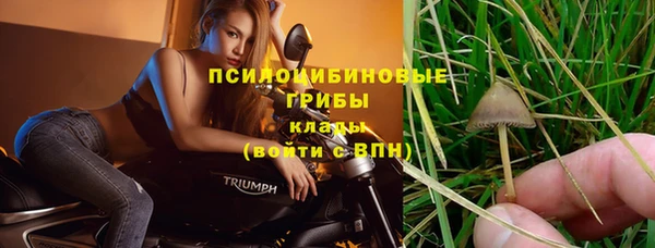 марки nbome Алексеевка